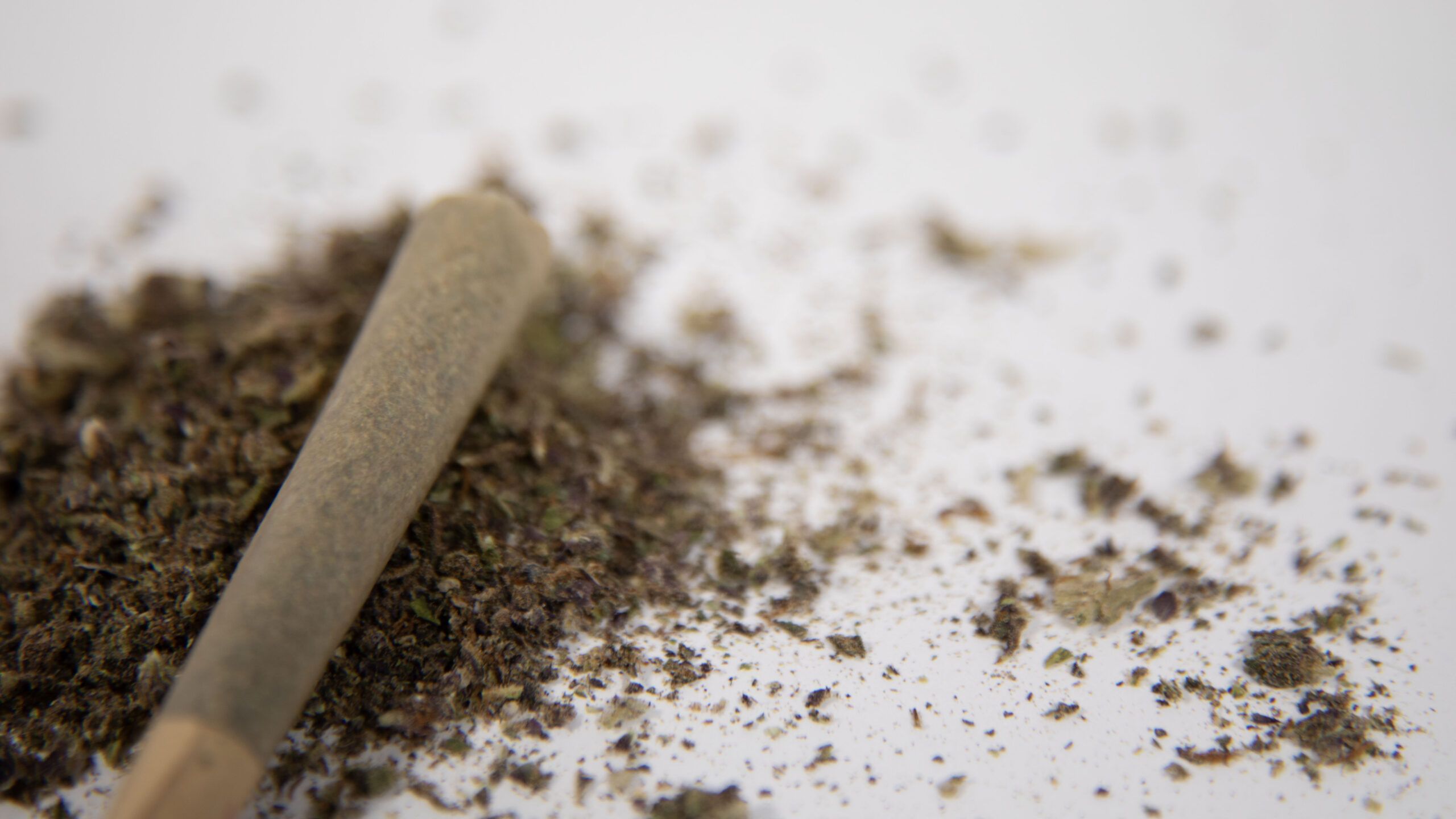 Tolerance and Long-Term Cannabis Use