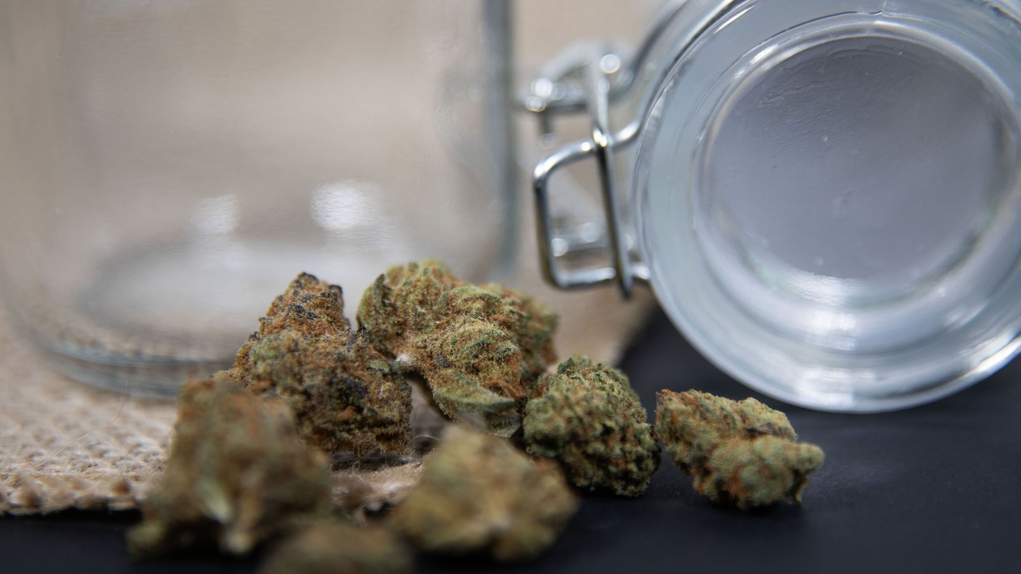 What Are Cannabinoids and Why Are They Important?